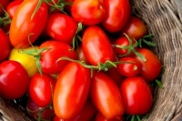 lycopene tomatoes